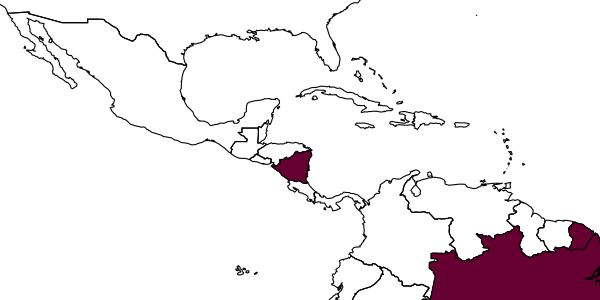 map of Anisepyris rectus     Santos & Azevedo, 2000